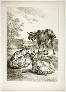 Lámina dieciocho de 38 de Oeuvres de J. B. Huet de Jean Baptiste Huet