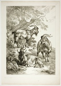 Placa diecisiete de 38 de Oeuvres de J. B. Huet de Jean Baptiste Huet