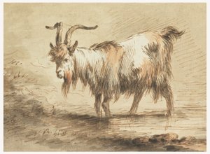 Dibujo, Estudio de una cabra, 1772 de Jean Baptiste Huet