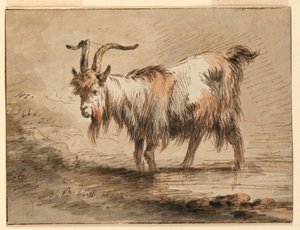 Dibujo, Estudio de una cabra, 1772 de Jean Baptiste Huet