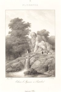 Coloso L