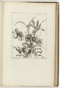 ramo encuadernado Les Petits Bouquets (título de la serie) de Jean Baptiste Monnoyer