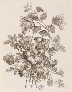 Placa de "Le Livre de toutes sortes de fleurs d