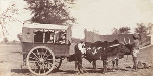 [Gemelos Campbell en un Shigram, Campamento del Gobernador General] de Jean Baptiste Oscar Mallitte