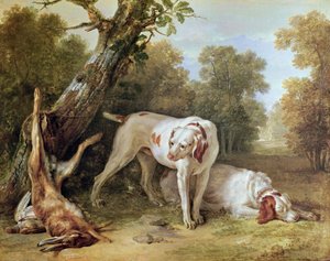 Perro y Liebre