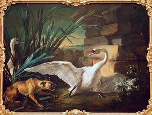 Perro y cisnes