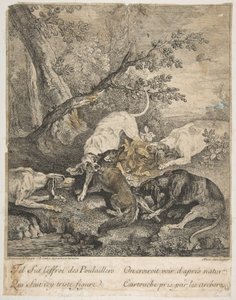 Caza del Zorro, 1736