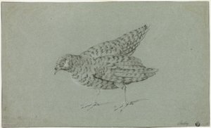 Perdiz de Jean Baptiste Oudry