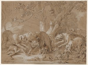 Wild Sow and Her Young Attacked by Dogs
