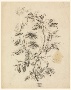 Rama de un árbol fantástico de Jean Baptiste Pillement