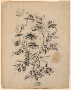 Dibujo, Rama de un árbol fantástico, 1775-1800 de Jean Baptiste Pillement