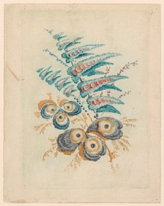 Motivo floral fantástico de Nouvelle Suitte de Cahiers de Fleurs Idéales de Jean Baptiste Pillement