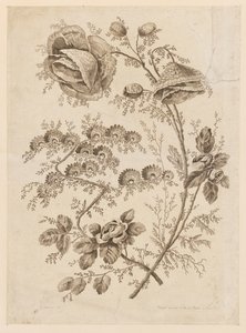 Rama de flores, de "Cuaderno de flores singulares" de Jean Baptiste Pillement