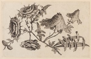 Rama de flores, de "Recueil de Fleurs Chinois" de Jean Baptiste Pillement