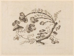 Ramas Florales, de "Recueil de Differentes Fleurs de Fantaisie Dans le Goût Chinois" de Jean Baptiste Pillement