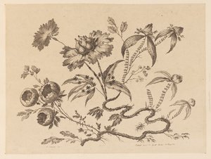 Ramas de flores, de "Recueil de Differentes Fleurs de Fantaisie Dans le Goût Chinois" de Jean Baptiste Pillement