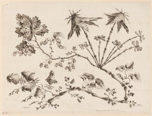 Ramas de flores, de "Recueil de Differentes Fleurs de Fantaisie Dans le Goût Chinois" de Jean Baptiste Pillement