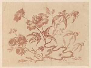 Ramas de flores, de "Recueil de Differentes Fleurs de Fantaisie Dans le Goût Chinois" de Jean Baptiste Pillement