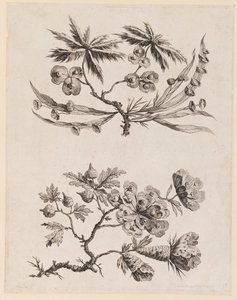 Ramas de Flores de, "Recueil de Fleurs Chinois" de Jean Baptiste Pillement