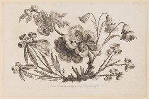 Ramas de flores, de "Recueil de Fleurs de Chinois" de Jean Baptiste Pillement