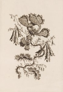 Rama de flores, de "Fleures Persannes" de Jean Baptiste Pillement