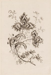 Rama de Flores, de "Fleures Persannes" de Jean Baptiste Pillement