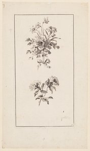 Ramas de flores, de "Diversos ramos según la naturaleza" de Jean Baptiste Pillement