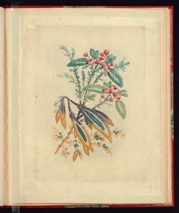 Diseño Ornamental con Pequeñas Flores Rojas y Bayas, de Nouvelle suite de cahiers de flerurs naturelle a l