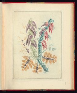 Diseño Ornamental con Hojas Triangulares Púrpuras y Rojas, de Nouvelle suite de cahiers de flerurs naturelle a l