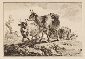 Lámina 4, de "Cuaderno de seis hojas de bueyes y vacas" de Jean Baptiste Pillement