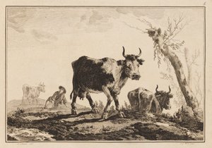 Placa 5, "Cuaderno de seis hojas de bueyes y vacas"