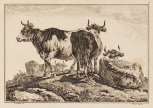 Lámina 6, de "Cuaderno de Seis Hojas de Bueyes y Vacas" de Jean Baptiste Pillement