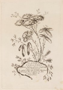Página de Título, de "Fleures Persannes" de Jean Baptiste Pillement