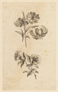 Dos ramitas de flores