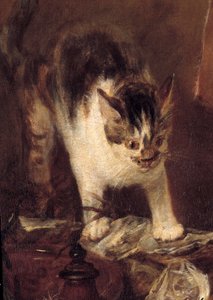 Bodegón de pescado, ostras, jarra. Detalle de gato de Jean Baptiste Simeon Chardin