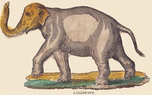 El elefante, c.1840-1852 (litografía) de Jean Baptiste Thiebault