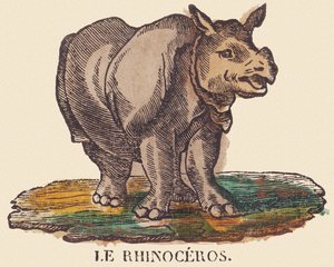 El rinoceronte, c.1840-1852 (litografía) de Jean Baptiste Thiebault