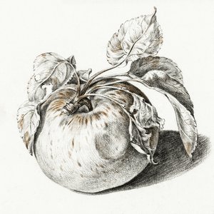 Apple de Jean Bernard