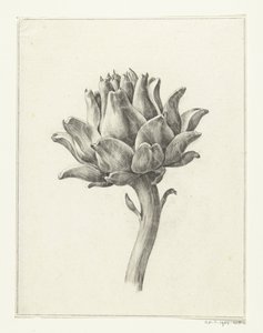Alcachofa de Jean Bernard
