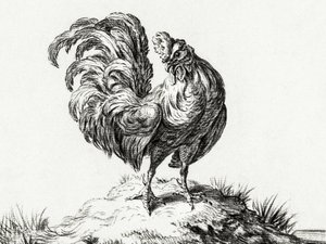 Un pollo, de pie en una colina de Jean Bernard