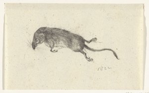 ratón muerto