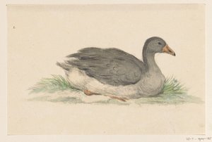 Pato, a la derecha de Jean Bernard