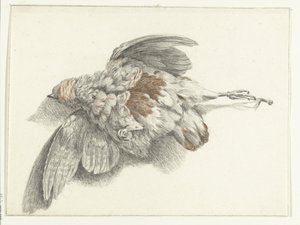 Aves de corral, colgadas en la pared. de Jean Bernard