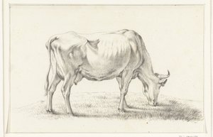 Vaca pastando, a la derecha de Jean Bernard