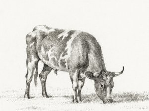 Toro de pastoreo de Jean Bernard
