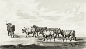 Grupo de seis toros de Jean Bernard