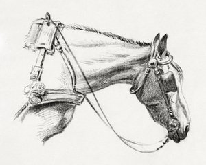 Cabeza de caballo (1820) de Jean Bernard