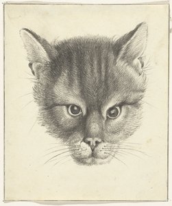 La cabeza del gato, de frente