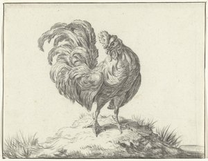 Pollo parado en una colina de Jean Bernard