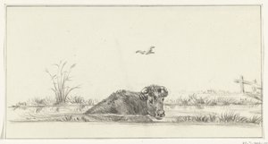 vaca en el agua de Jean Bernard